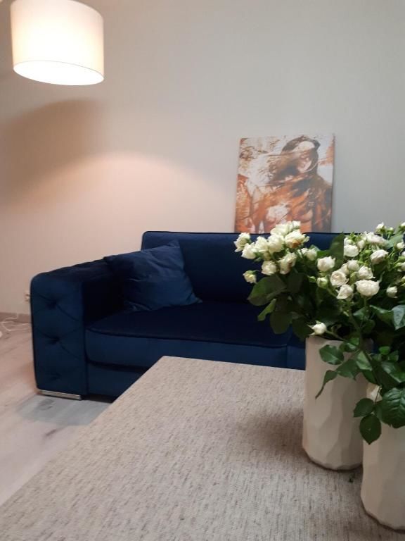 Апартаменты Апартаменты на Старобульварной Каменец-Подольский-35