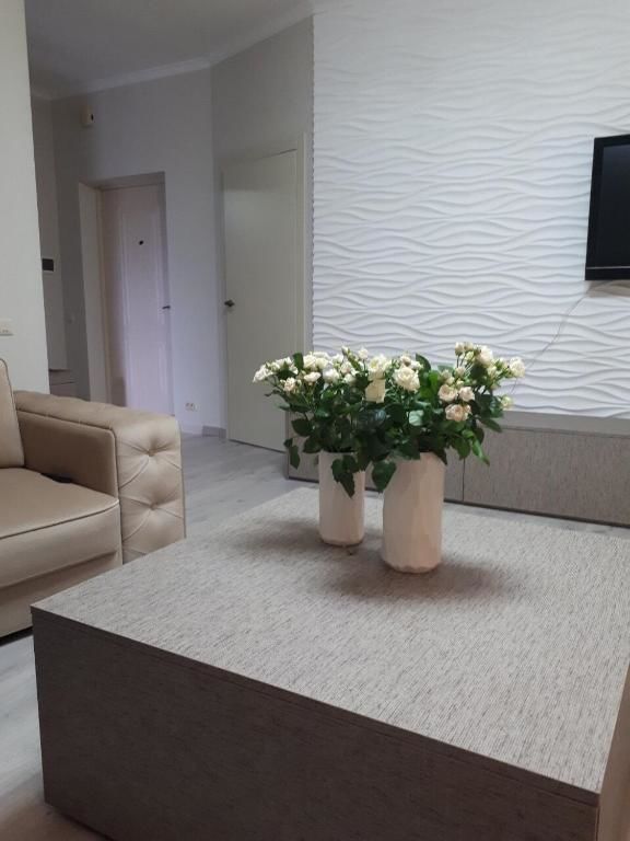 Апартаменты Апартаменты на Старобульварной Каменец-Подольский-40